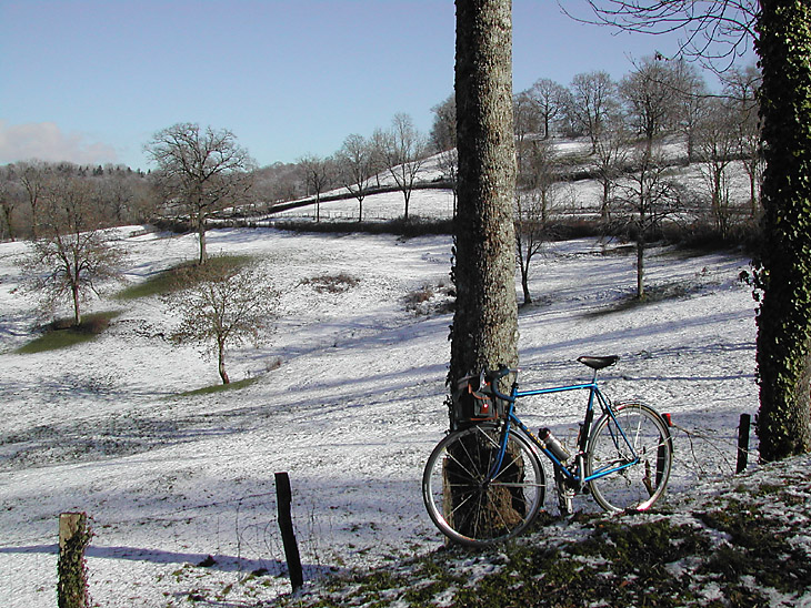 Hiver_20_© Michel Ponchet.JPG